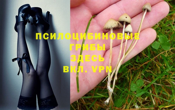 а пвп мука Алексин