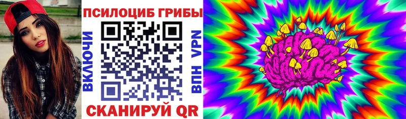 KRAKEN онион  Дегтярск  Галлюциногенные грибы мухоморы 